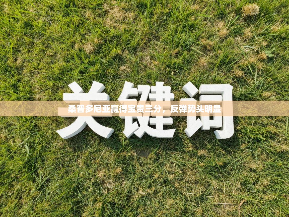 开云手机版-桑普多尼亚赢得宝贵三分,反弹势头明显